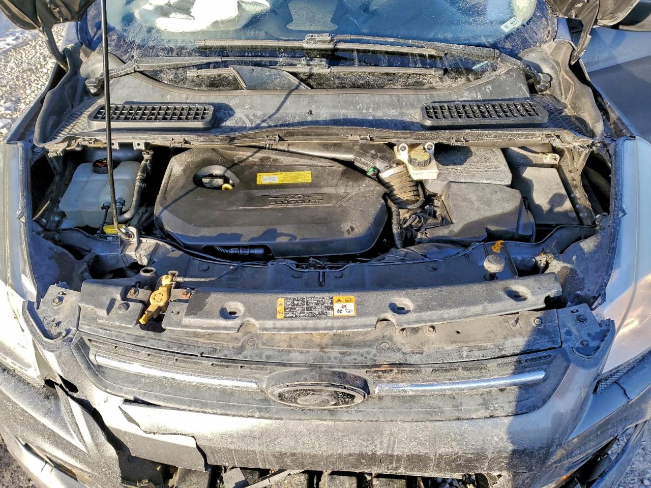 2014 FORD ESCAPE SE photo 12