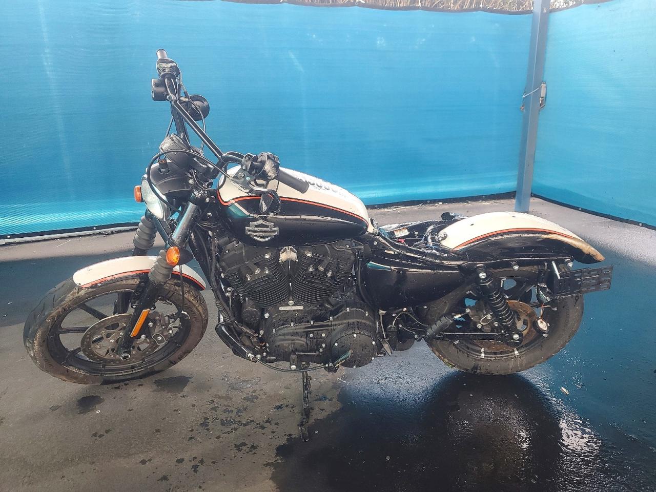 2021 HARLEY-DAVIDSON XL1200 NS photo 3