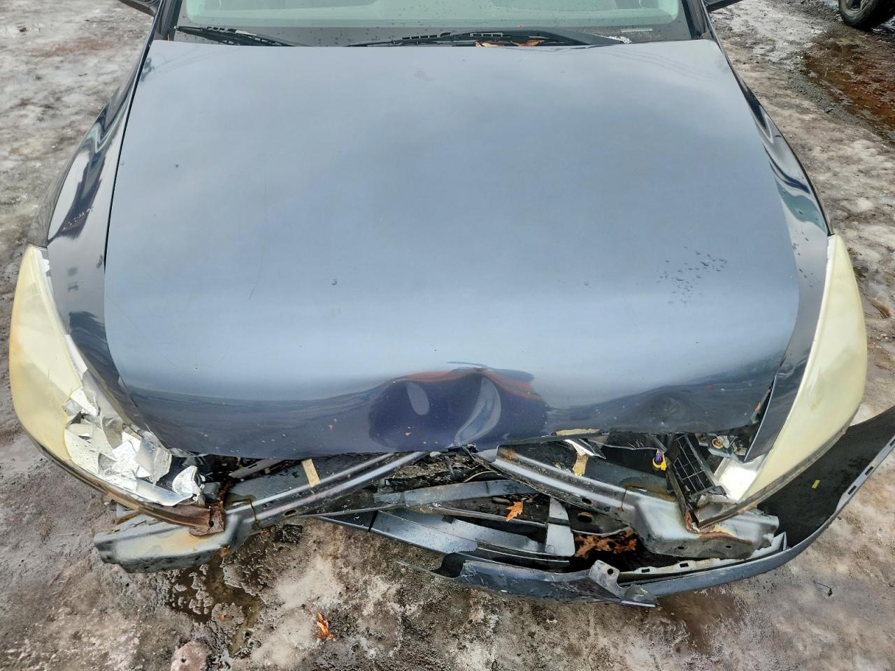 2005 HONDA ACCORD EX photo 11