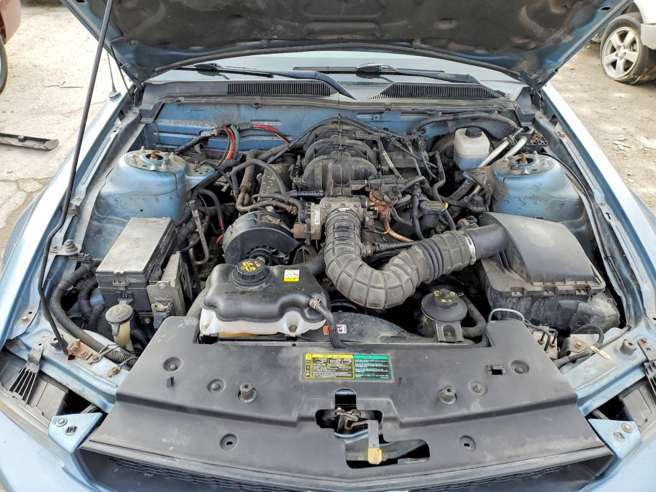 2005 FORD MUSTANG photo 11