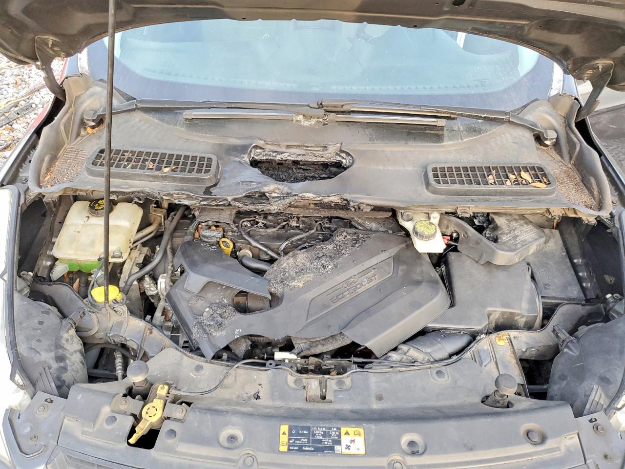 2015 FORD ESCAPE SE photo 11