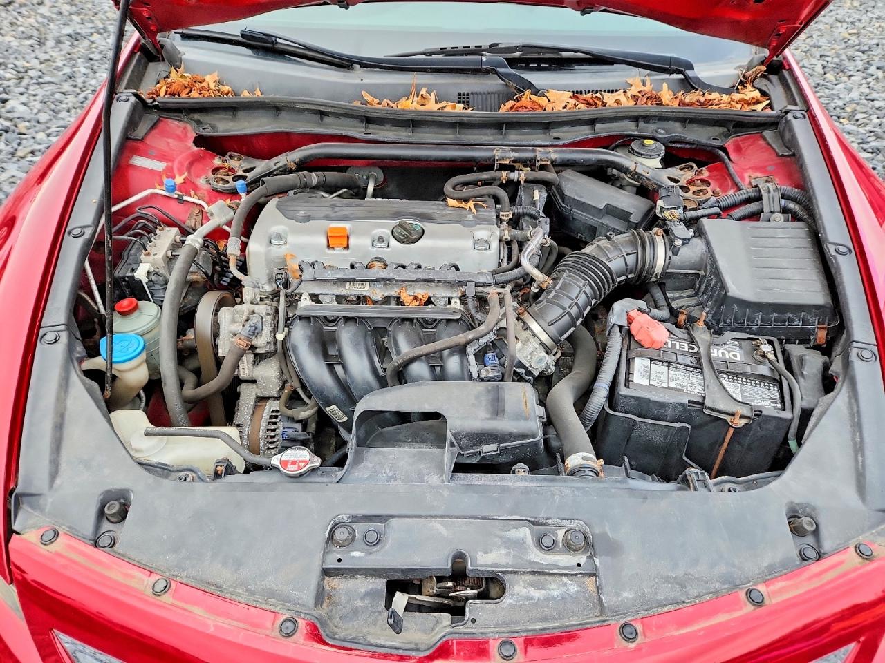 2010 HONDA ACCORD EX photo 11