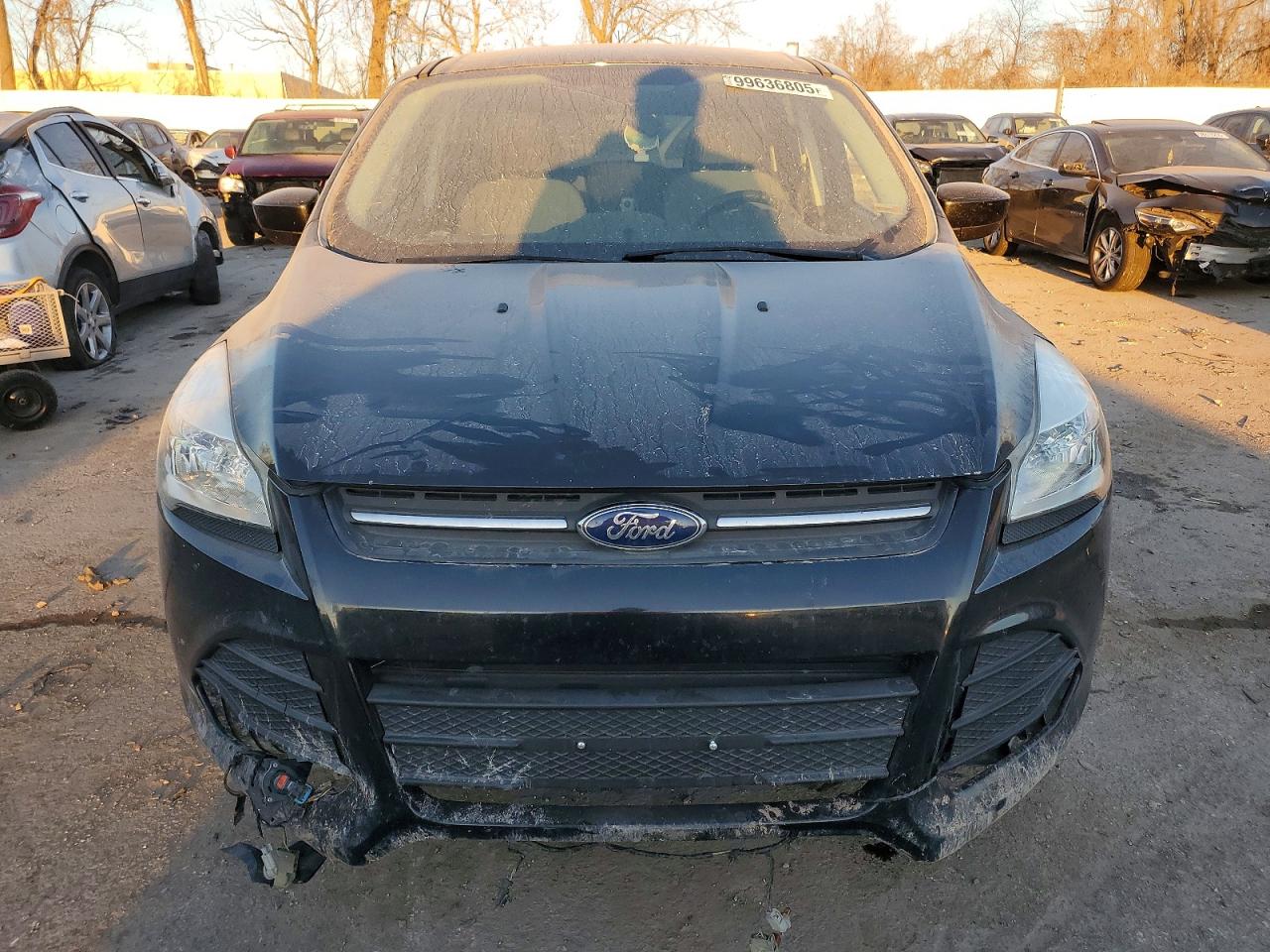2014 FORD ESCAPE SE photo 5