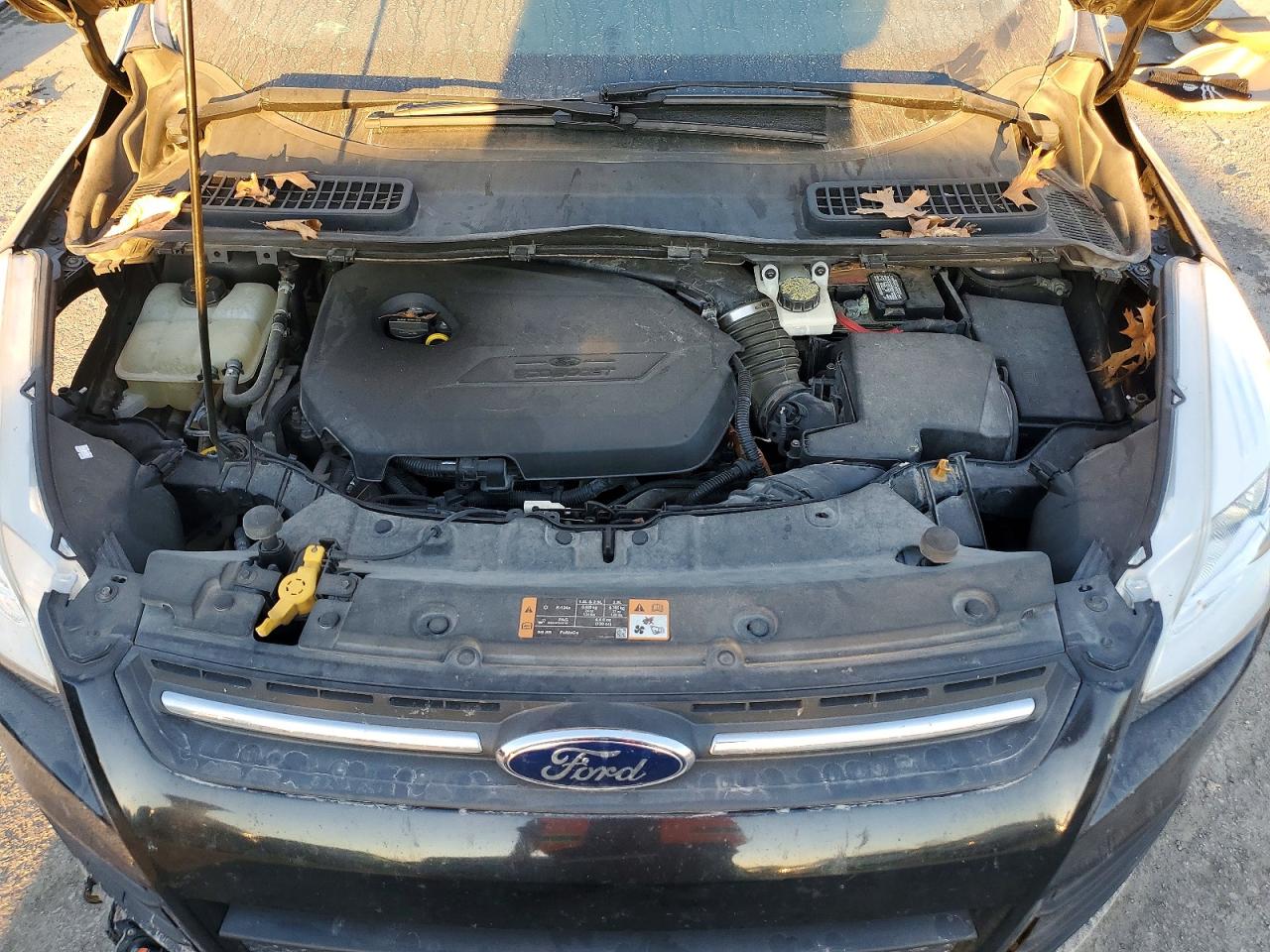 2014 FORD ESCAPE SE photo 11