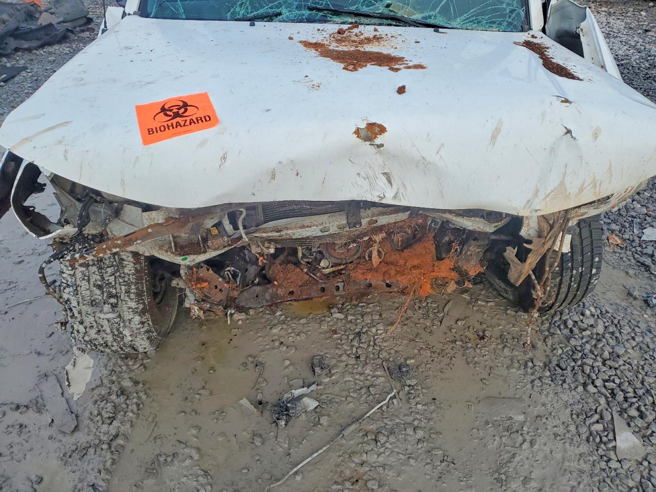 2009 TOYOTA TACOMA PRERUNNER ACCESS CAB photo 11