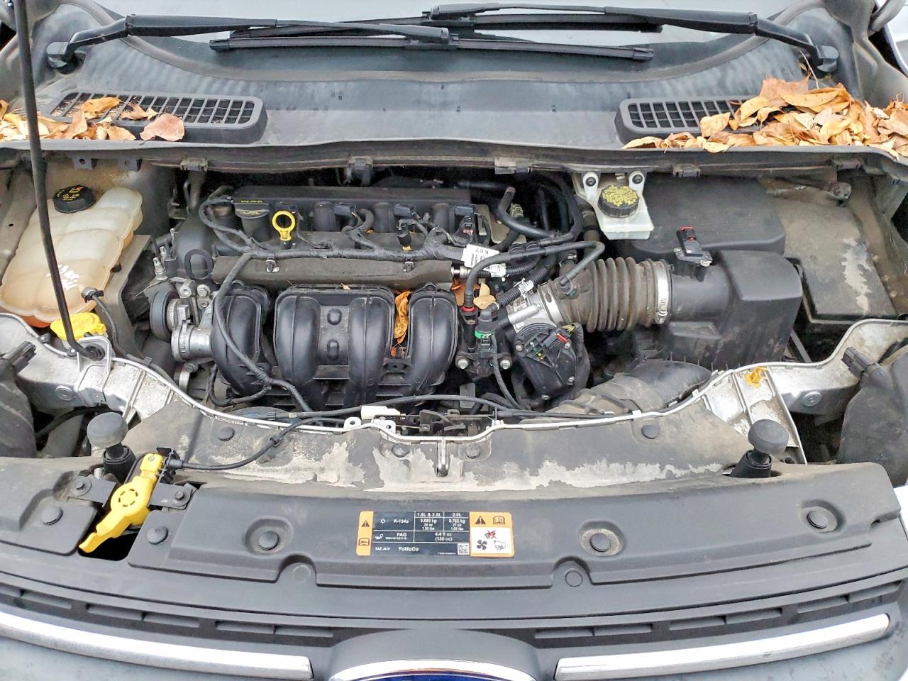 2015 FORD ESCAPE SE photo 11