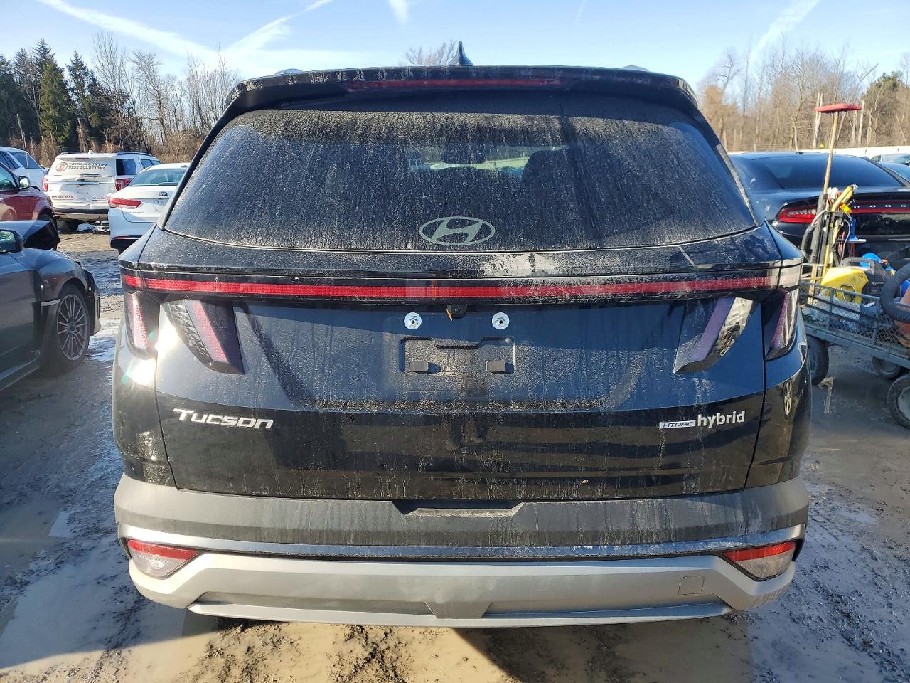 2025 HYUNDAI TUCSON SEL CONVENIENCE photo 6