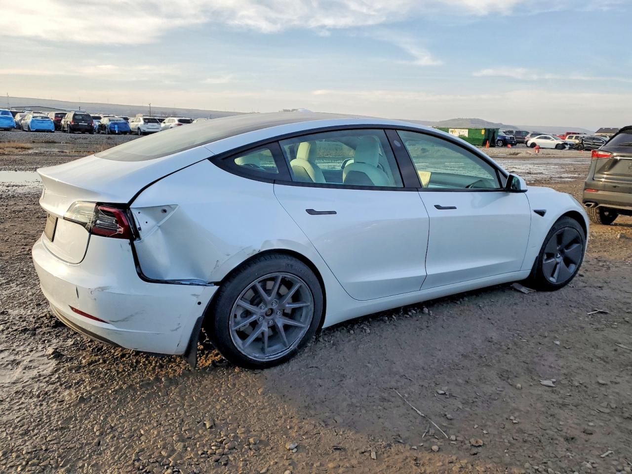 2021 TESLA MODEL 3 photo 3