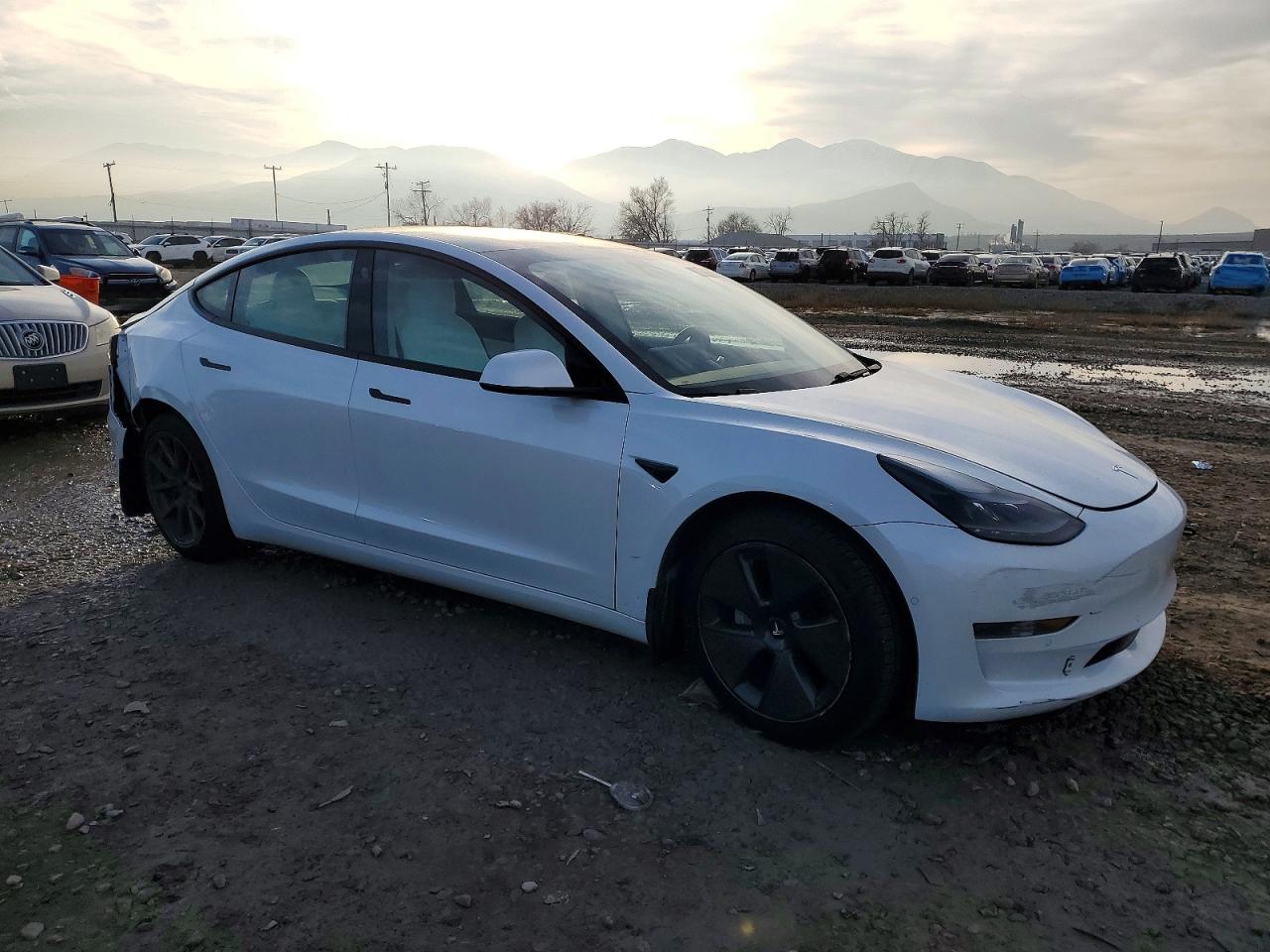 2021 TESLA MODEL 3 photo 4