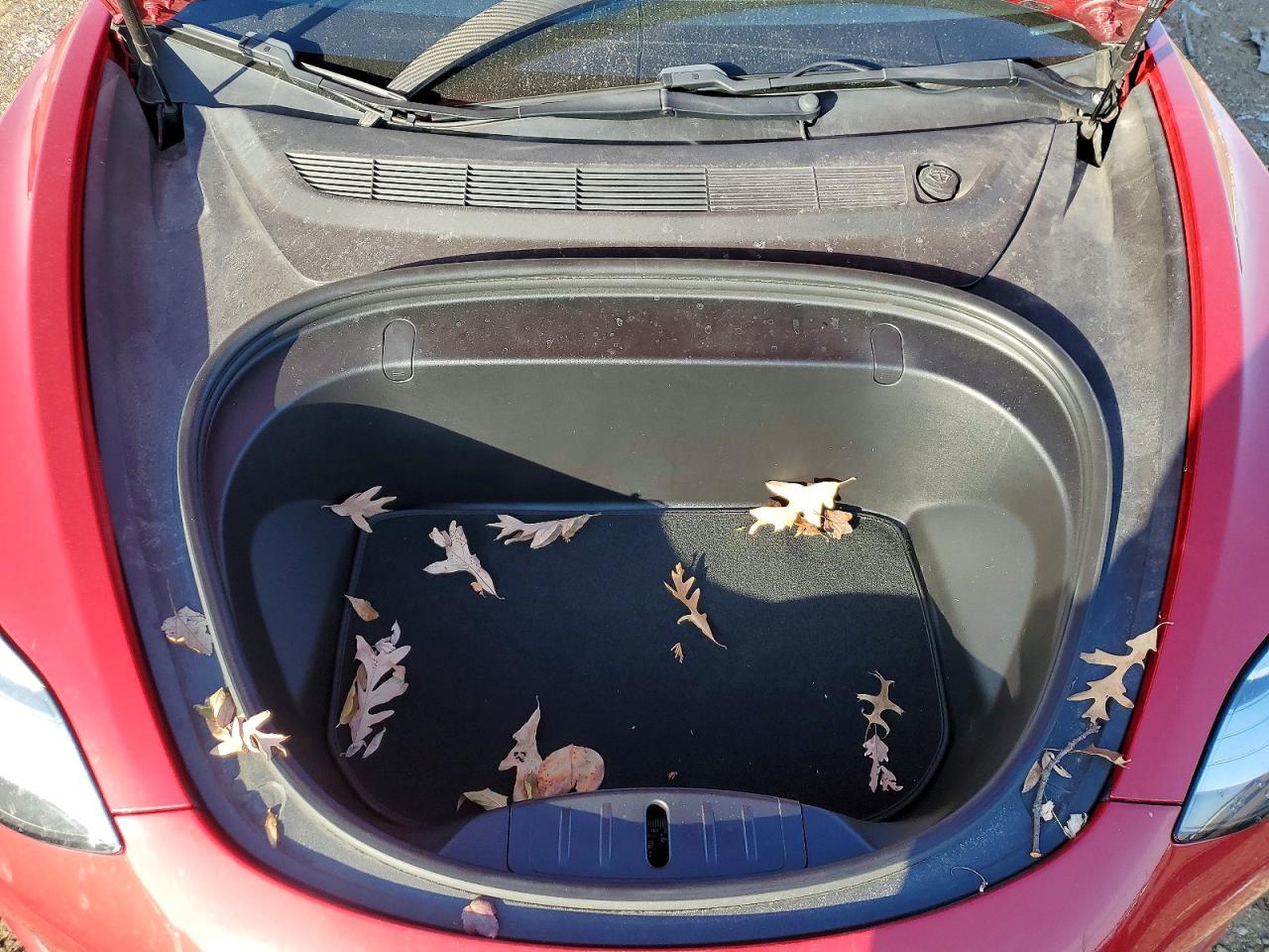 2019 TESLA MODEL 3 photo 11