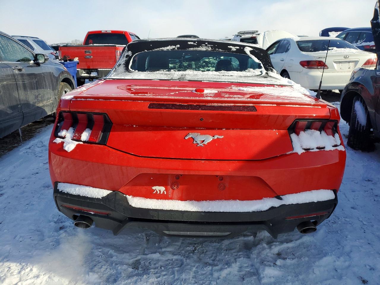2024 FORD MUSTANG photo 11