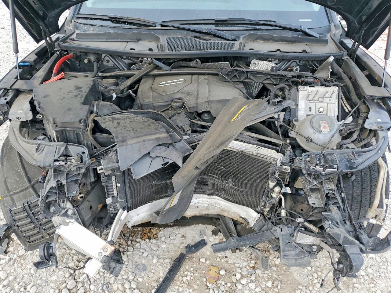 2024 AUDI Q5 PREMIUM PLUS 45 photo 12