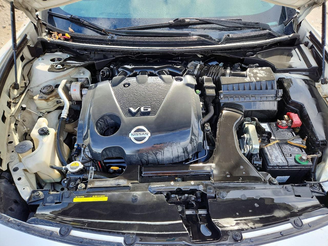 2010 NISSAN MAXIMA S photo 11