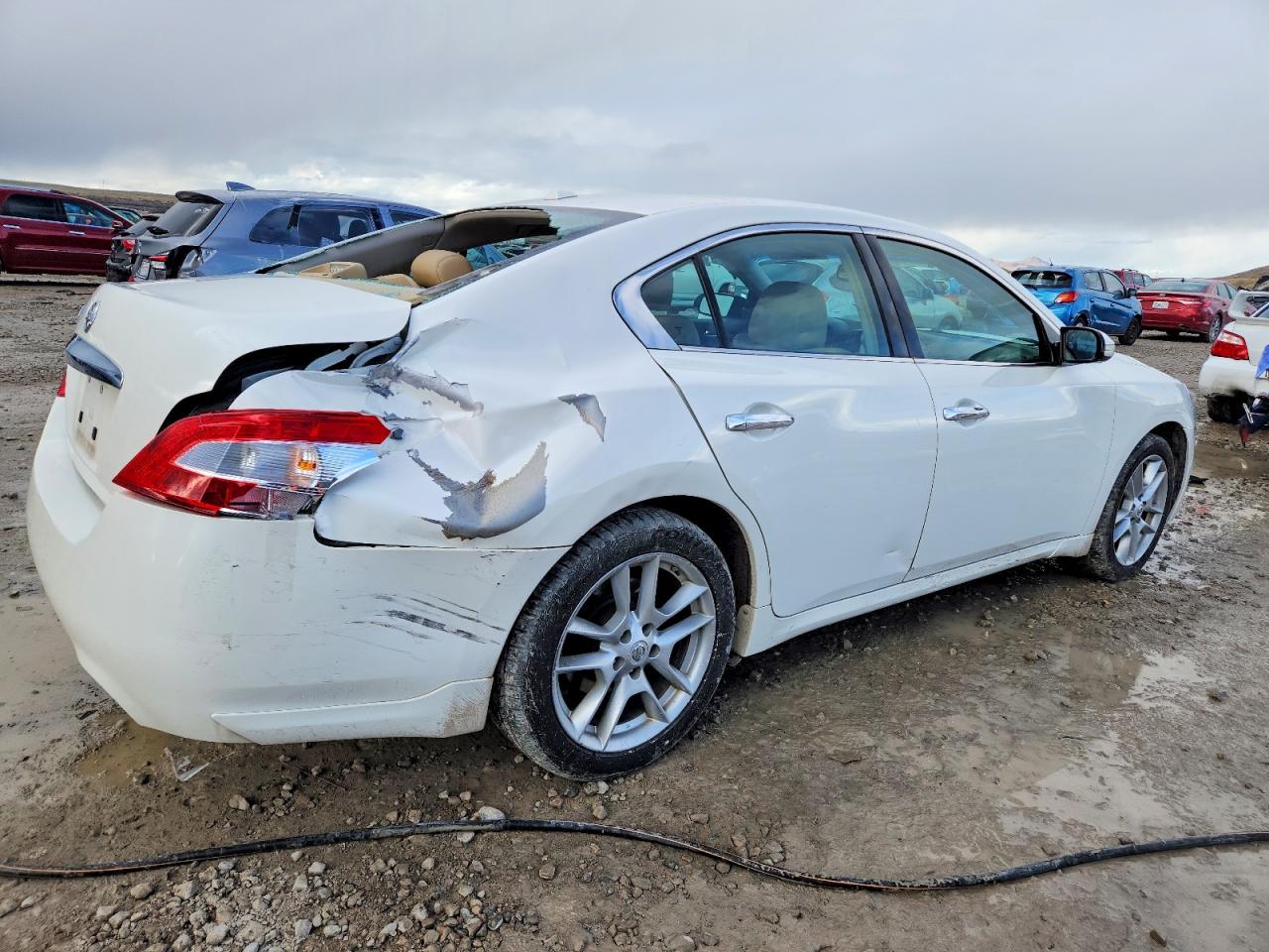 2010 NISSAN MAXIMA S photo 3