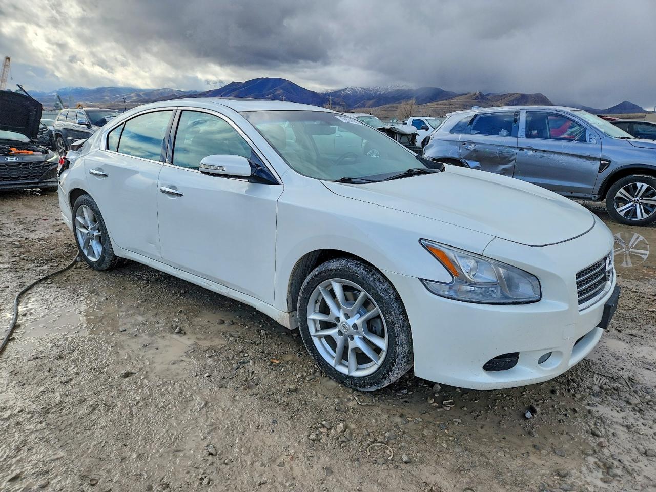 2010 NISSAN MAXIMA S photo 4