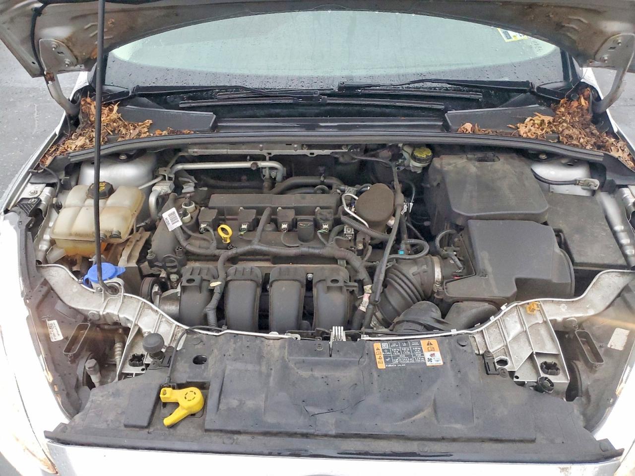 2015 FORD FOCUS SE photo 11