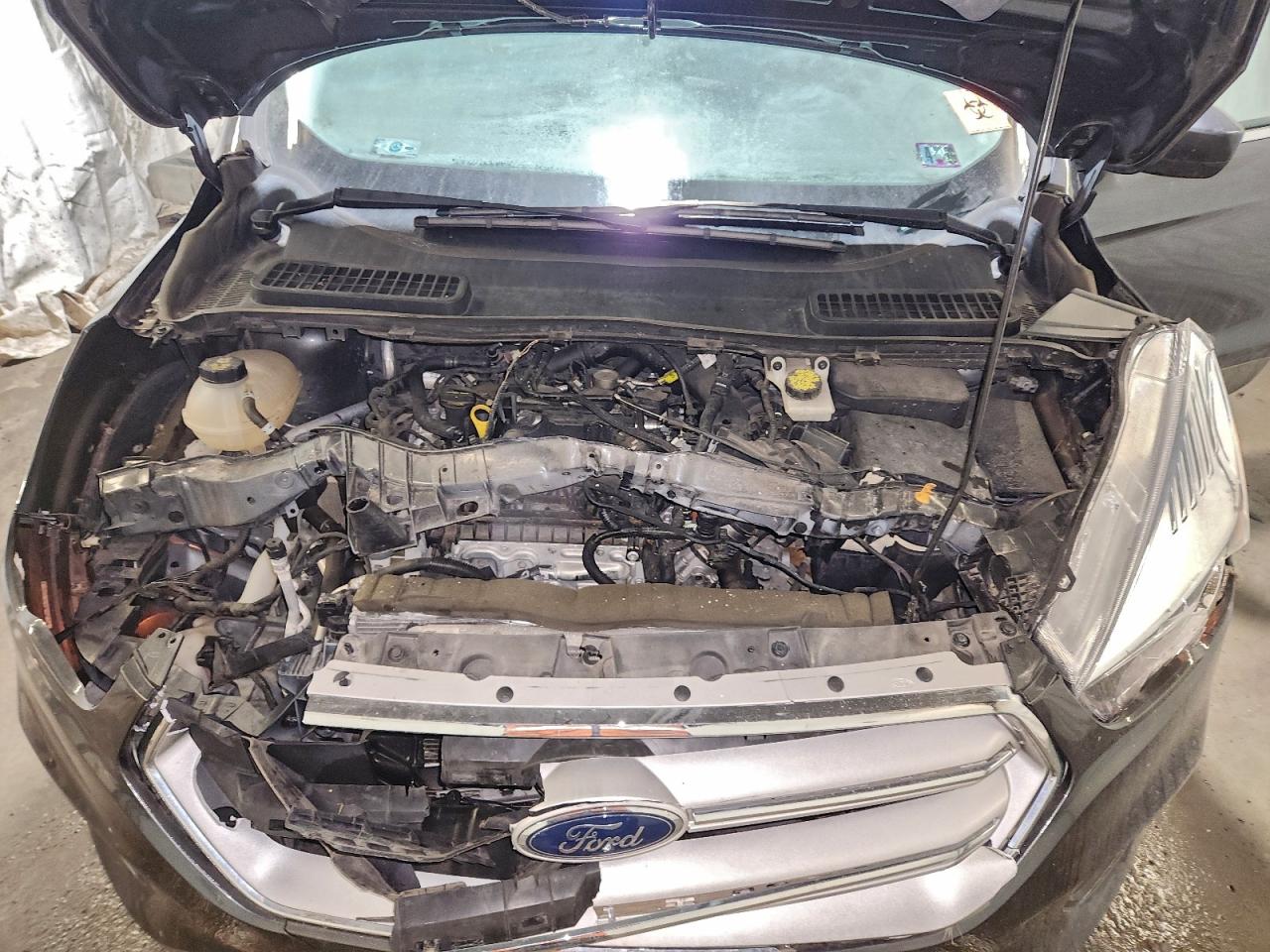 2019 FORD ESCAPE SE photo 12
