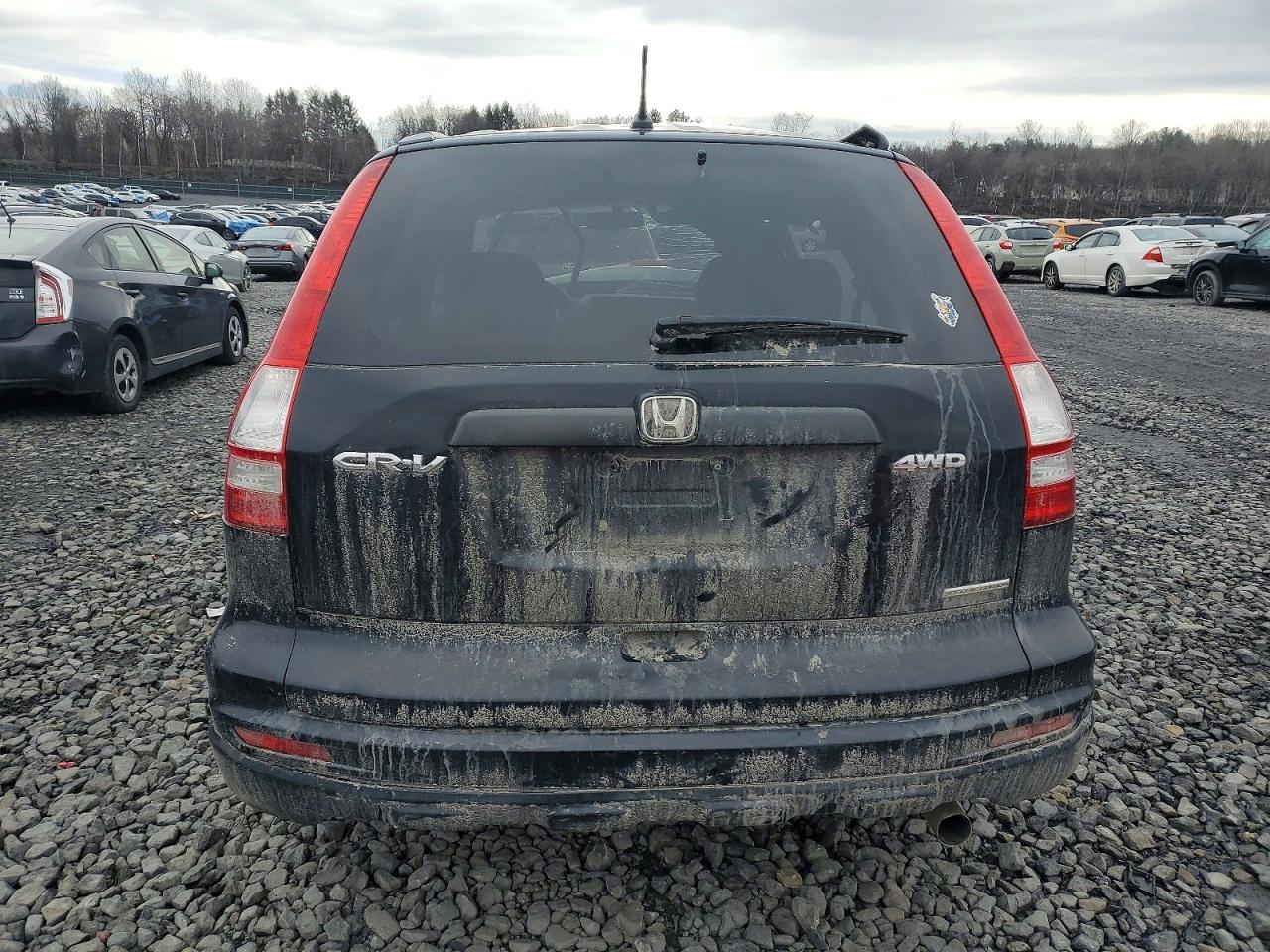 2011 HONDA CR-V SE photo 6