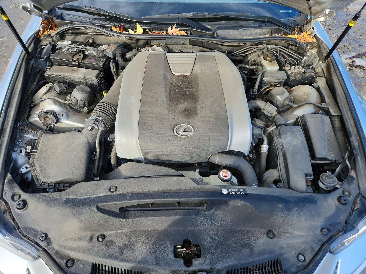 2019 LEXUS IS 350 photo 11