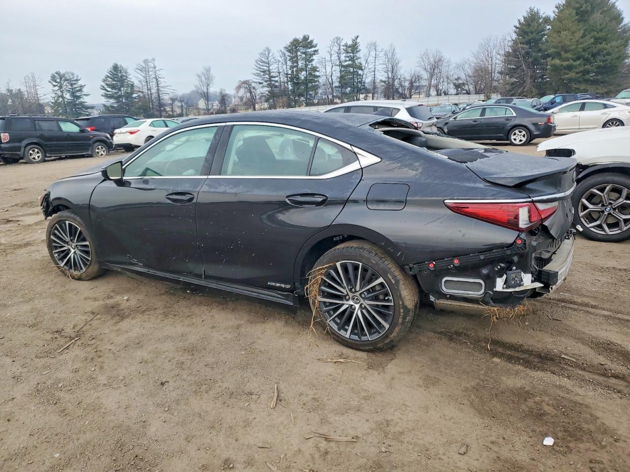 2022 LEXUS ES 300H BASE photo 2