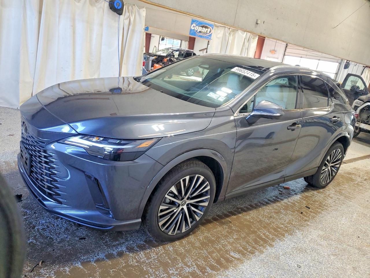 2025 LEXUS RX