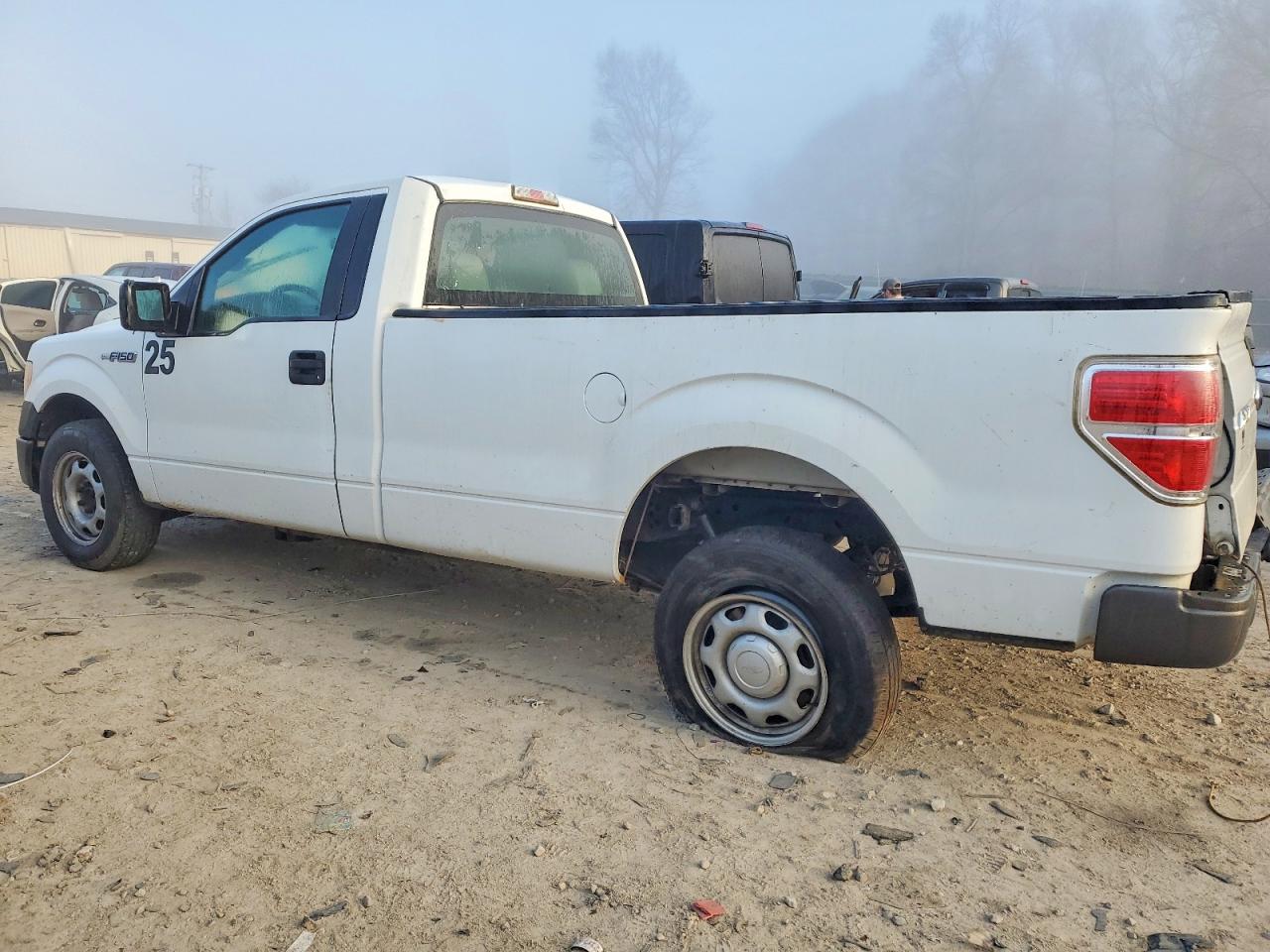 2013 FORD F150 photo 2
