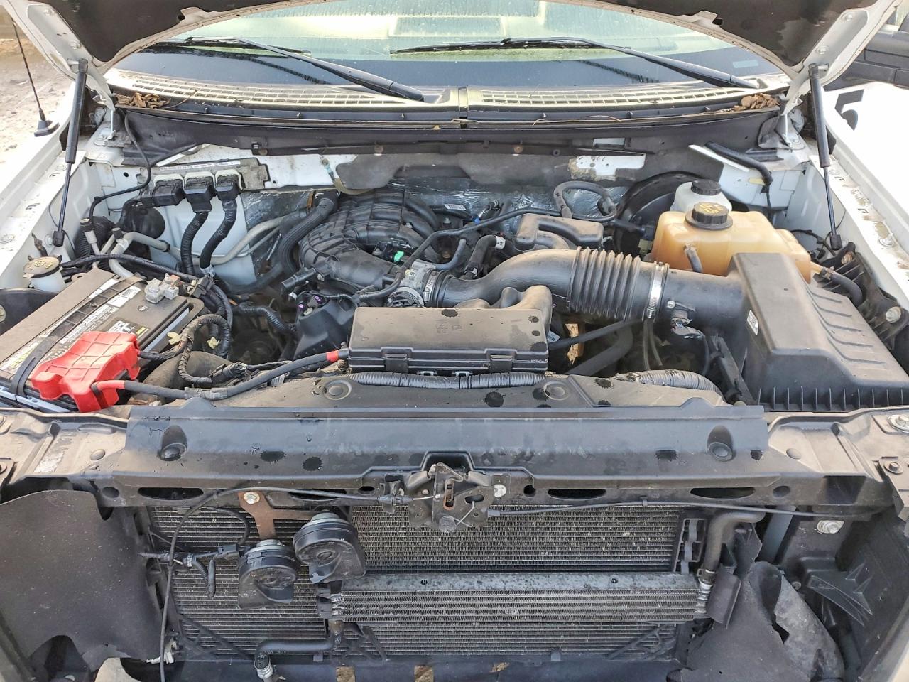 2013 FORD F150 photo 11
