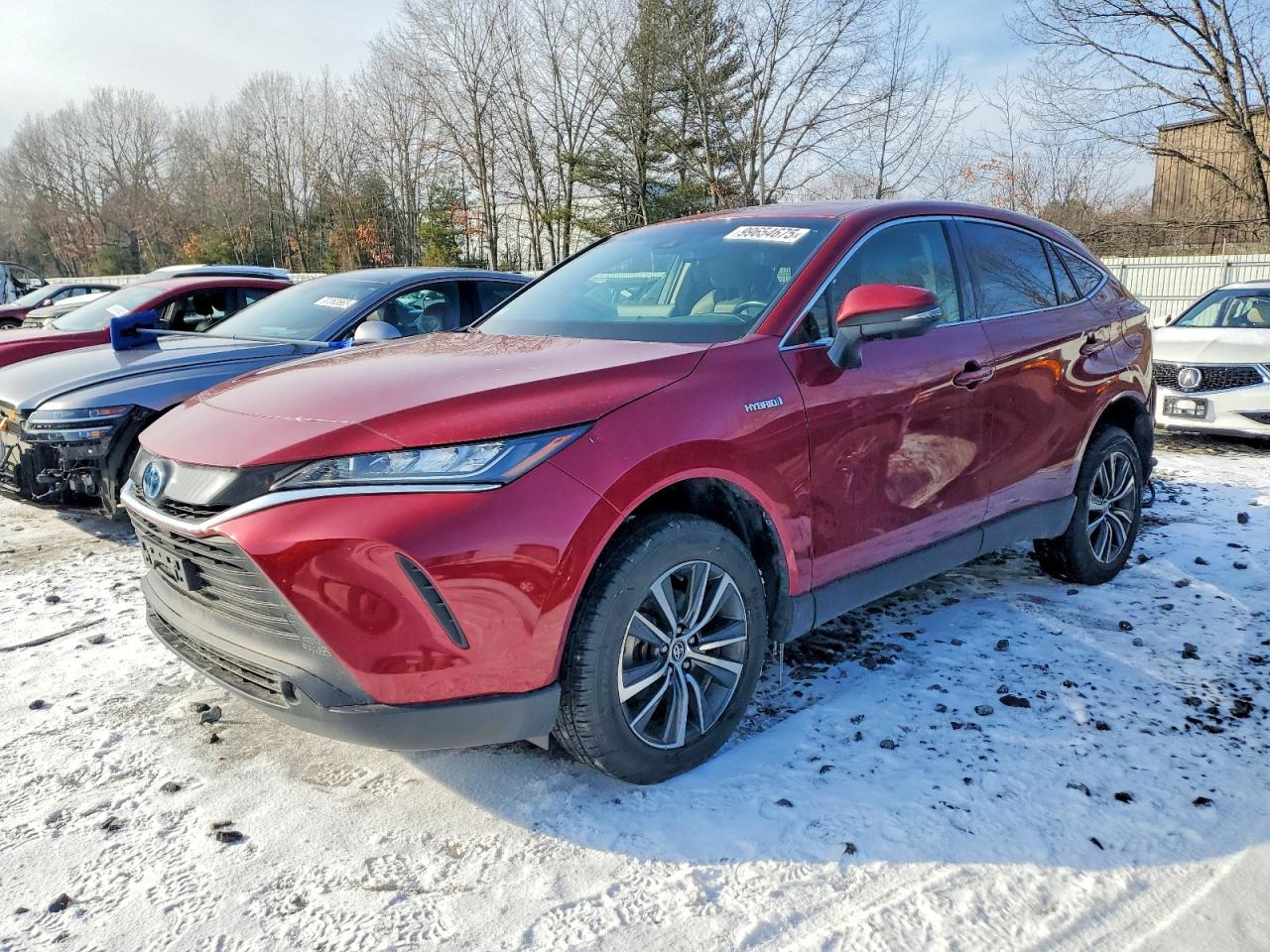 2021 TOYOTA VENZA