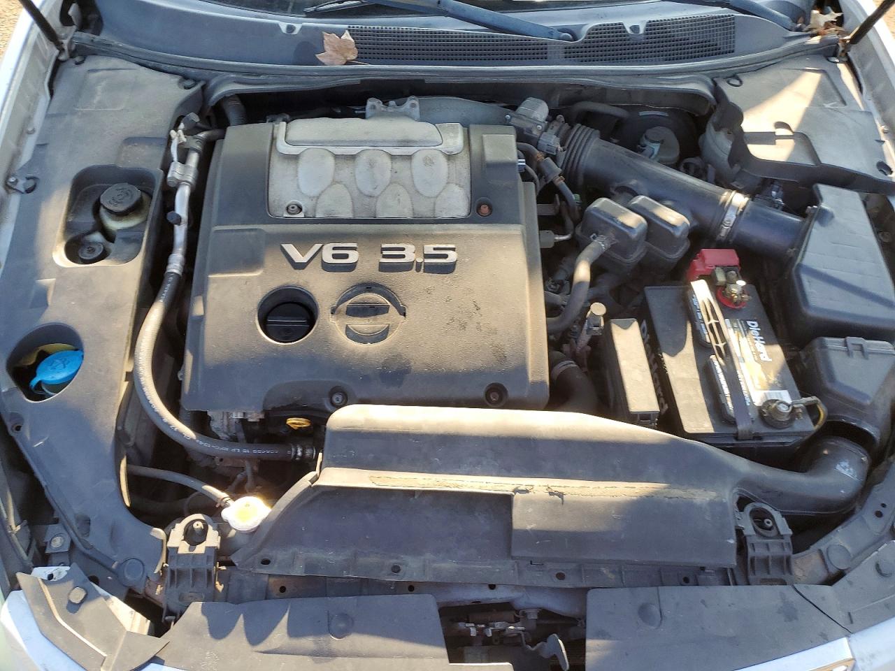 2007 NISSAN MAXIMA SE photo 11
