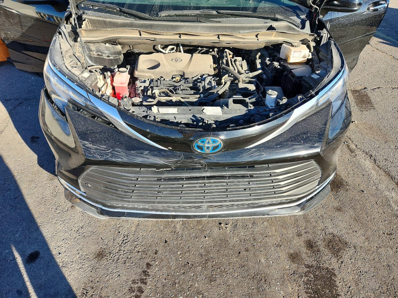 2021 TOYOTA SIENNA XLE photo 12