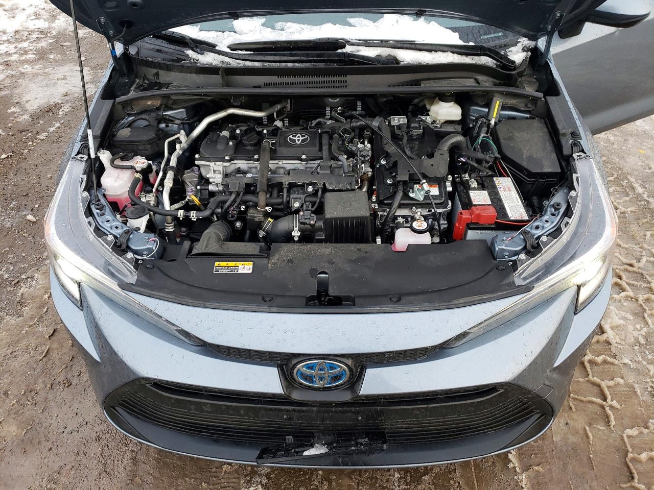 2025 TOYOTA COROLLA LE photo 11
