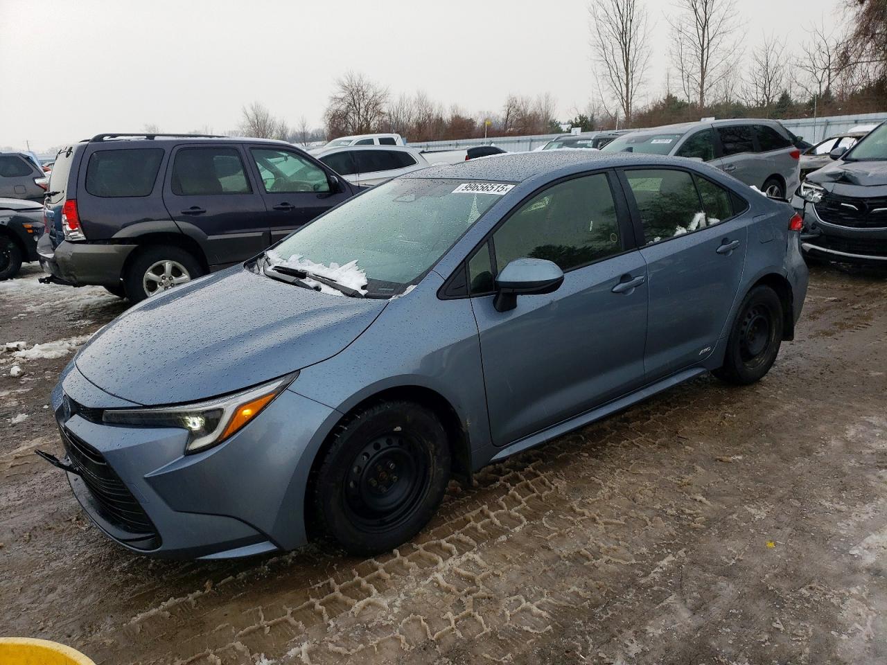 2025 TOYOTA COROLLA