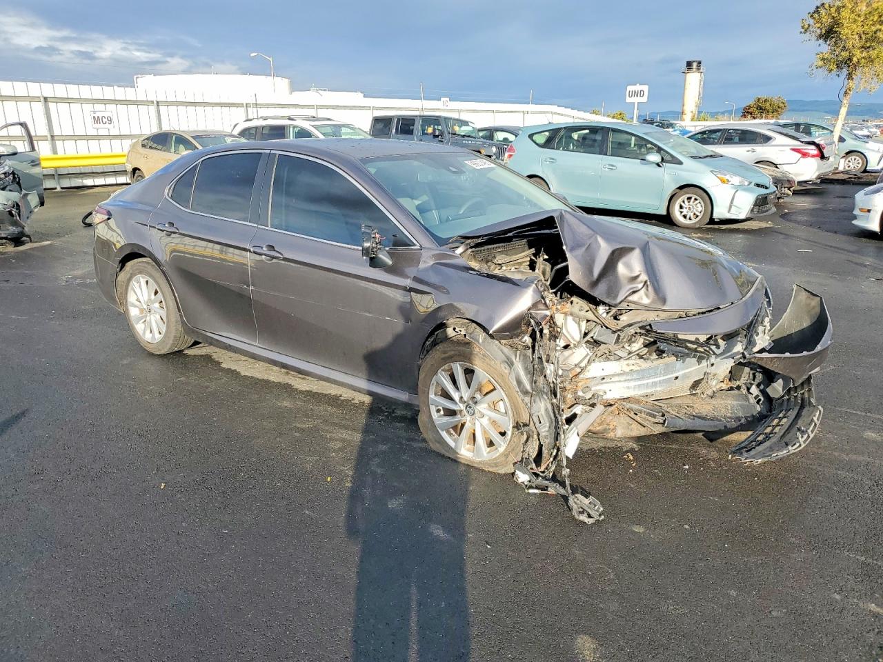 2023 TOYOTA CAMRY LE photo 4