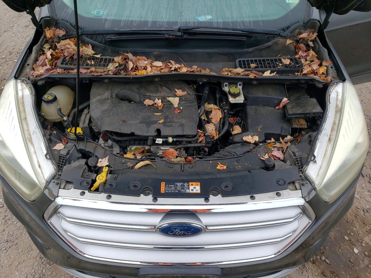 2017 FORD ESCAPE SE photo 12