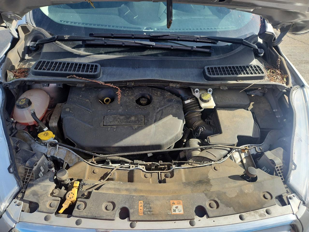 2019 FORD ESCAPE TITANIUM photo 11