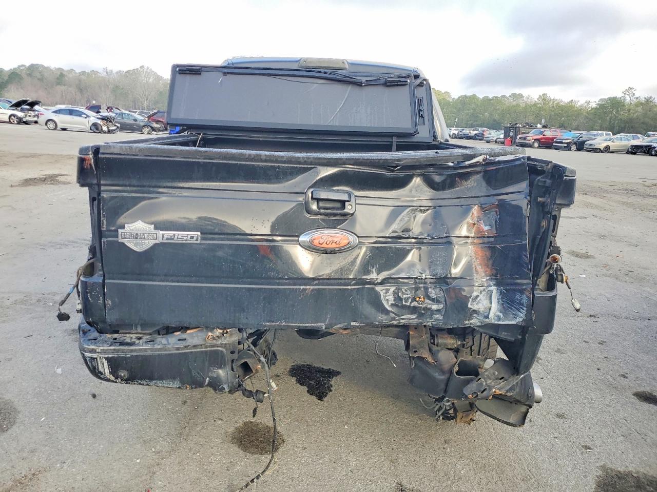 2010 FORD F150 SUPERCREW photo 6