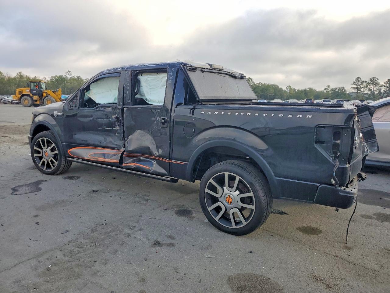 2010 FORD F150 SUPERCREW photo 2