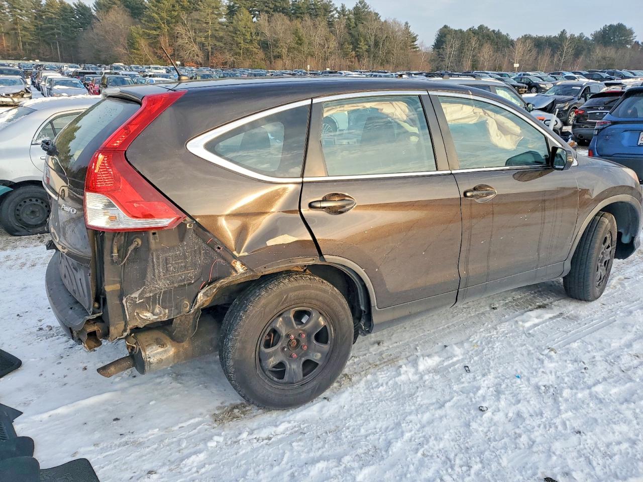 2014 HONDA CR-V LX photo 3