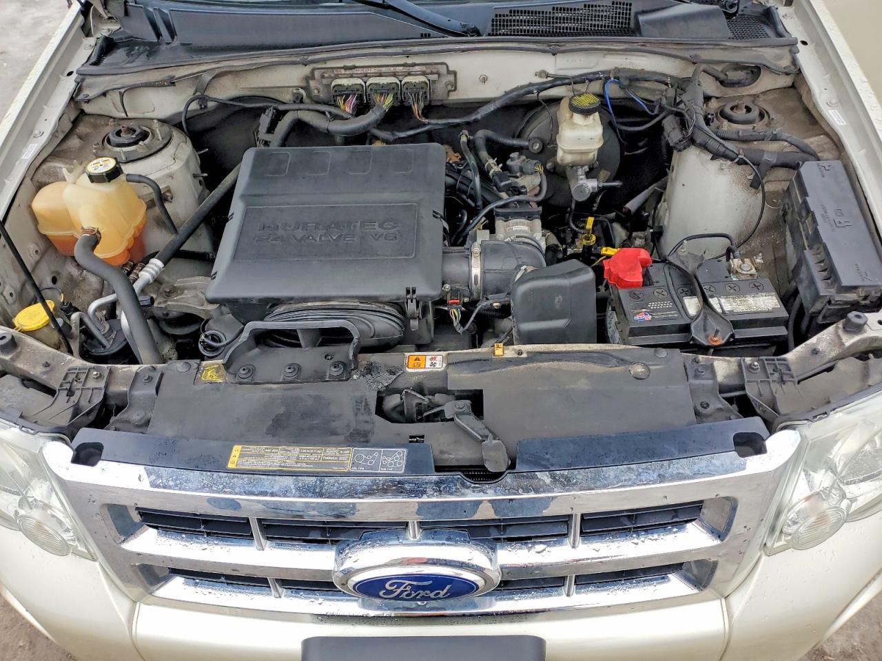 2012 FORD ESCAPE XLT photo 12