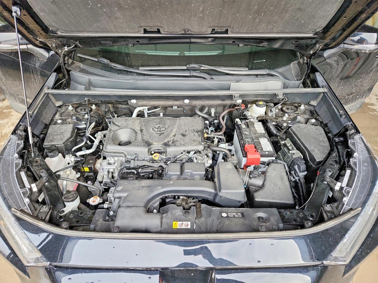2024 TOYOTA RAV4 XLE photo 23