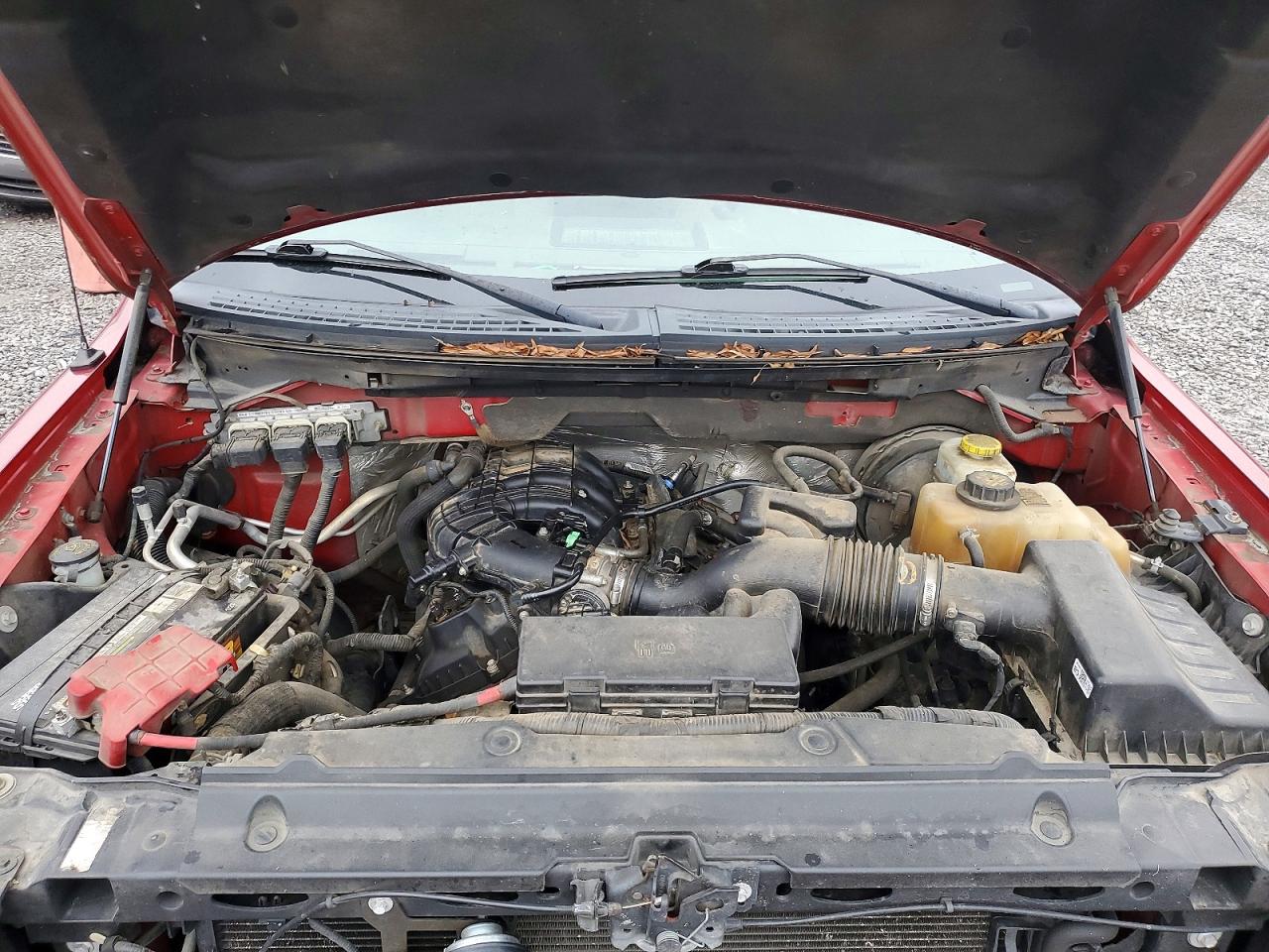 2014 FORD F150 photo 11