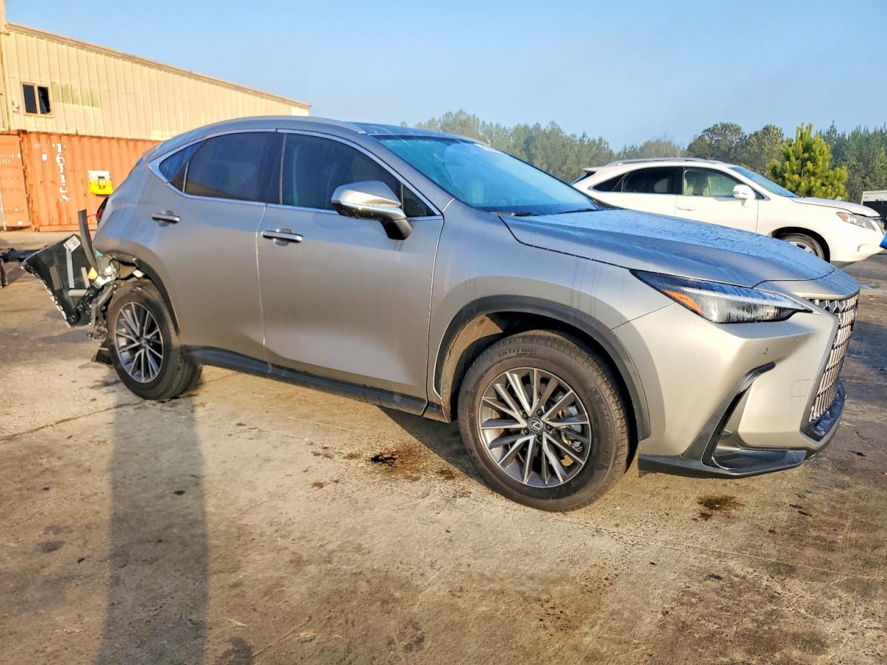 2025 LEXUS NX photo 7