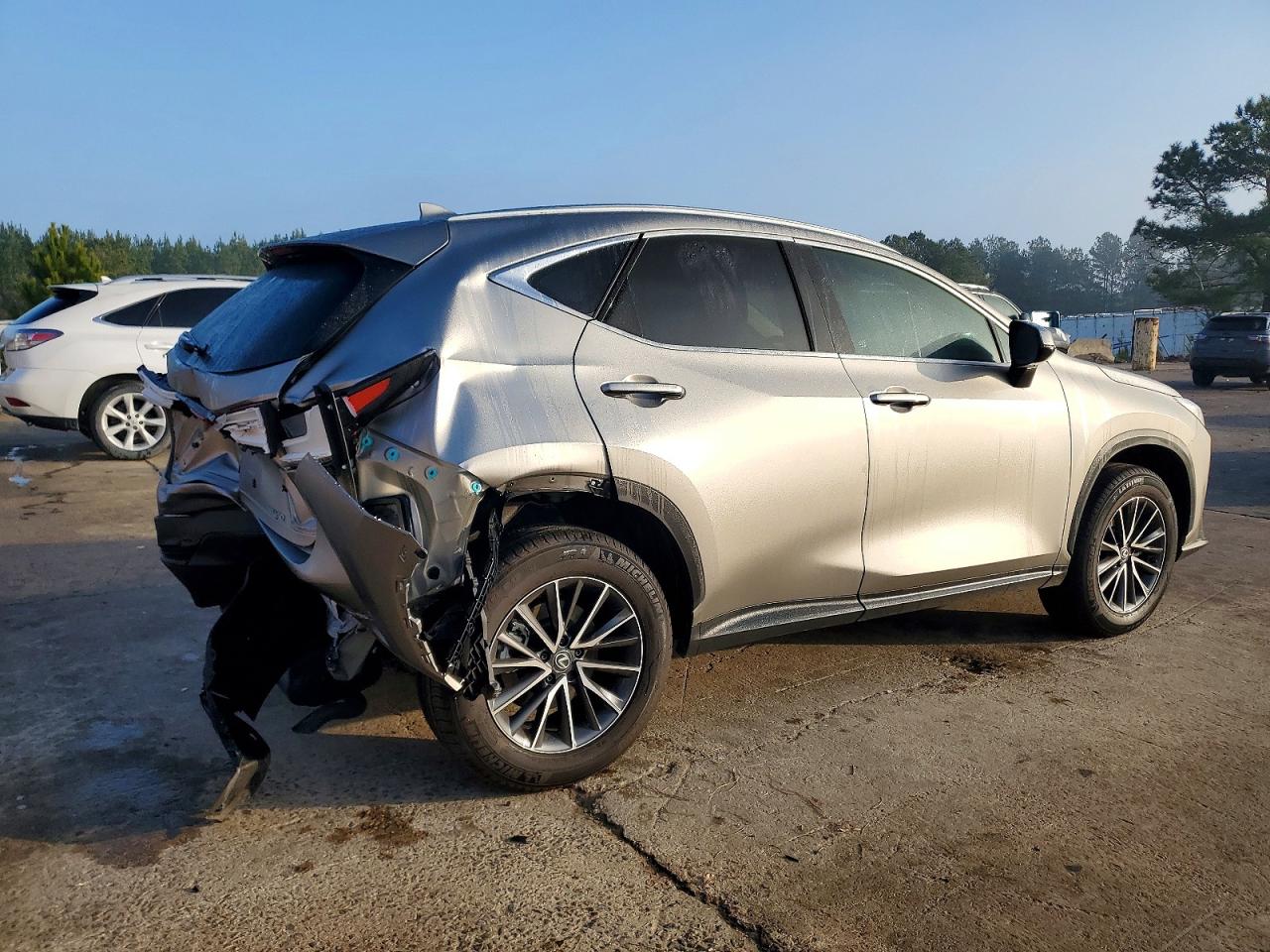 2025 LEXUS NX photo 5
