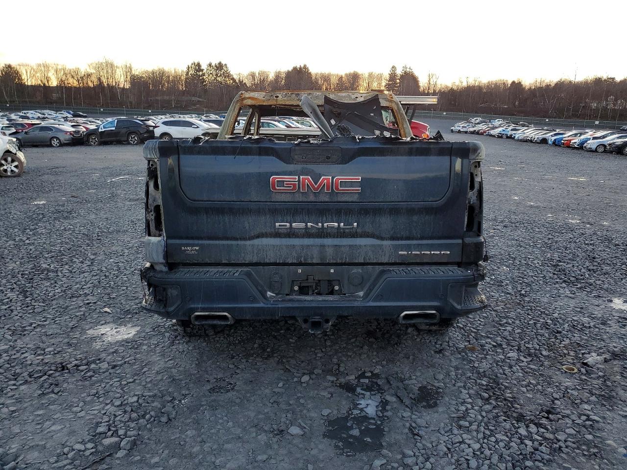 2020 GMC SIERRA K1500 DENALI photo 6