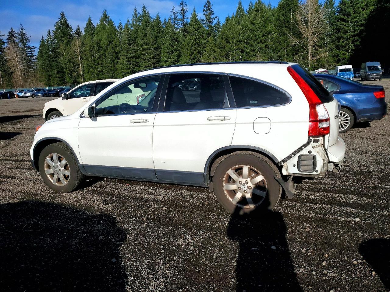2008 HONDA CR-V EXL photo 2