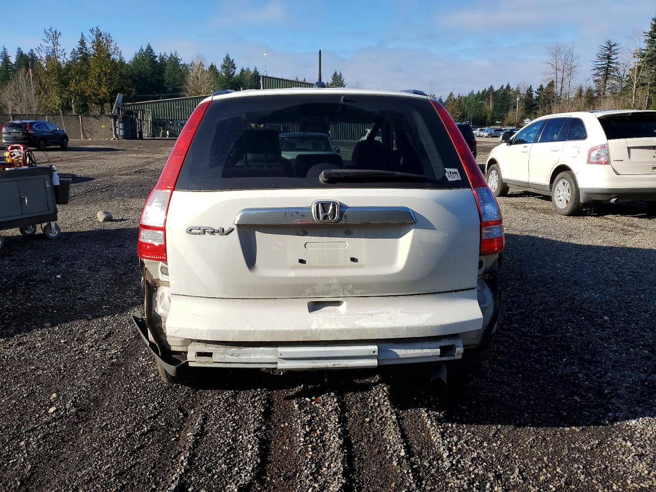 2008 HONDA CR-V EXL photo 6