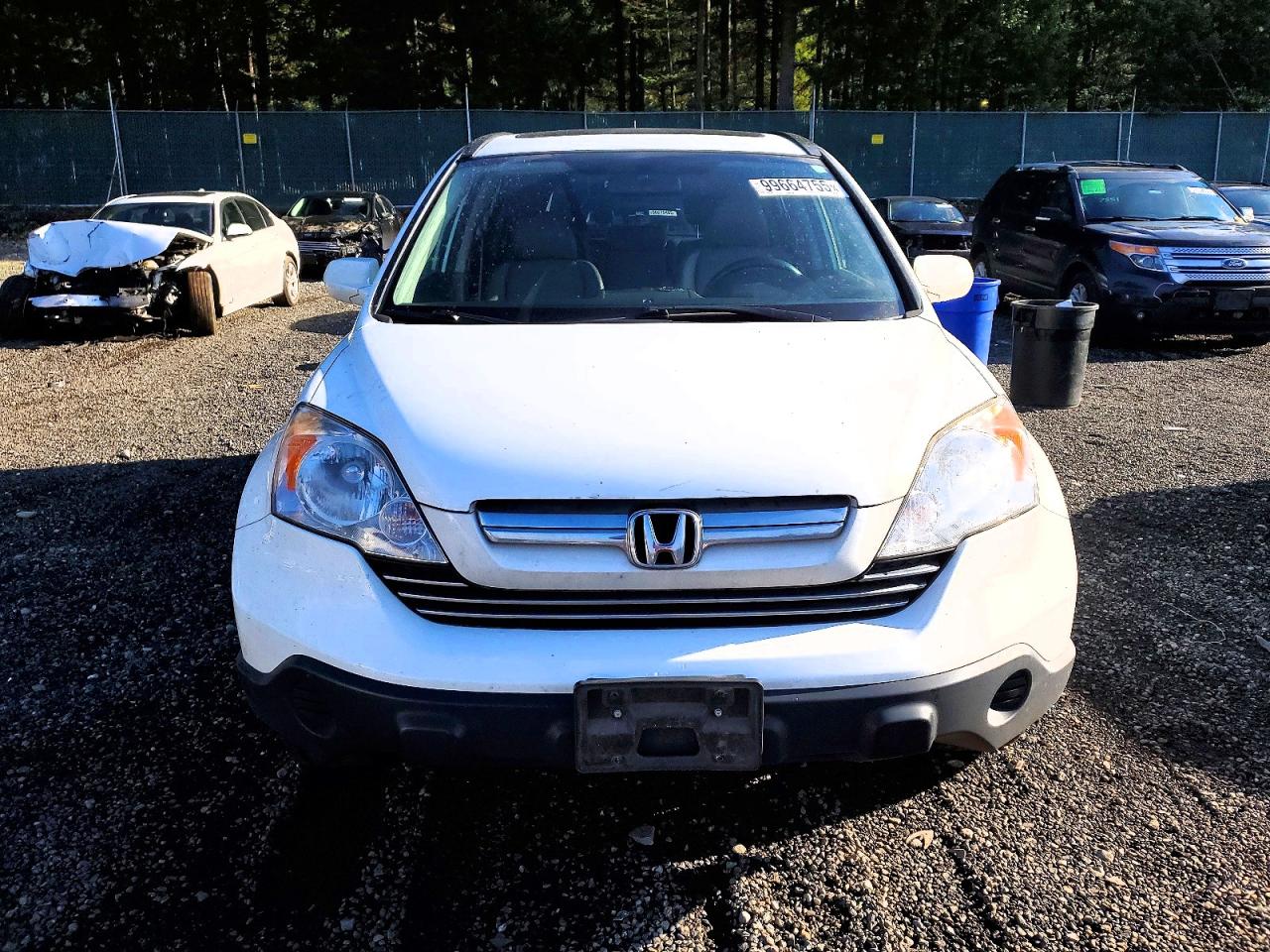 2008 HONDA CR-V EXL photo 5