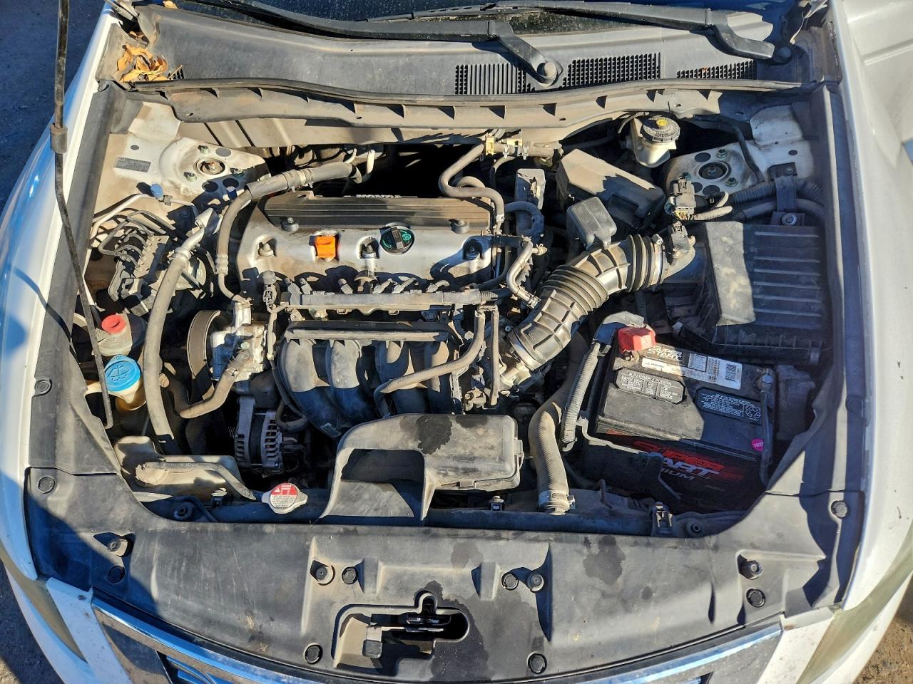 2010 HONDA ACCORD LXP photo 11