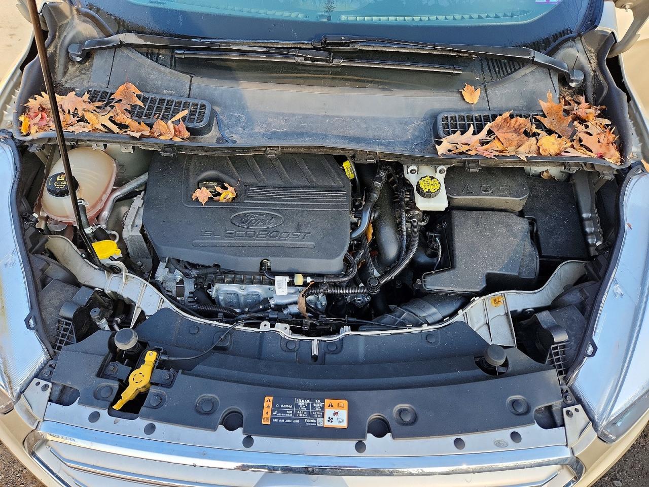 2018 FORD ESCAPE SE photo 12