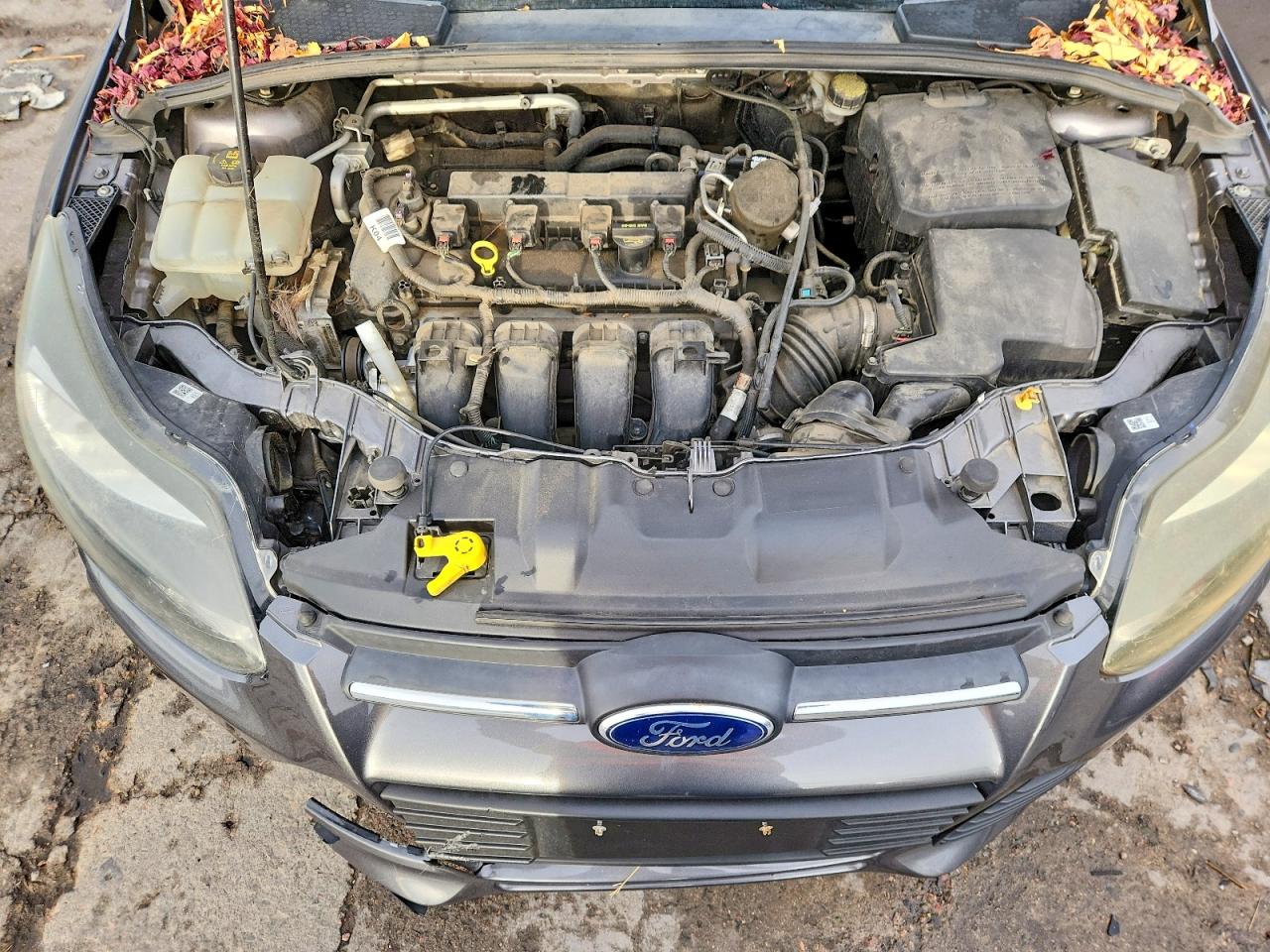 2014 FORD FOCUS SE photo 11